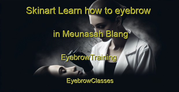 Skinart Learn how to eyebrow in Meunasah Blang | EyebrowTraining | EyebrowClasses | SkinartTraining-Indonesia
