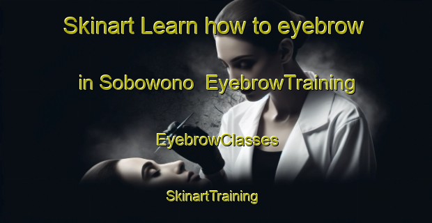Skinart Learn how to eyebrow in Sobowono | EyebrowTraining | EyebrowClasses | SkinartTraining-Indonesia