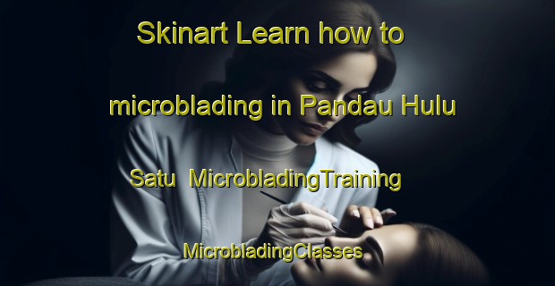 Skinart Learn how to microblading in Pandau Hulu Satu | MicrobladingTraining | MicrobladingClasses | SkinartTraining-Indonesia