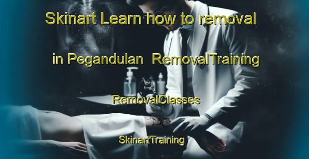 Skinart Learn how to removal in Pegandulan | RemovalTraining | RemovalClasses | SkinartTraining-Indonesia