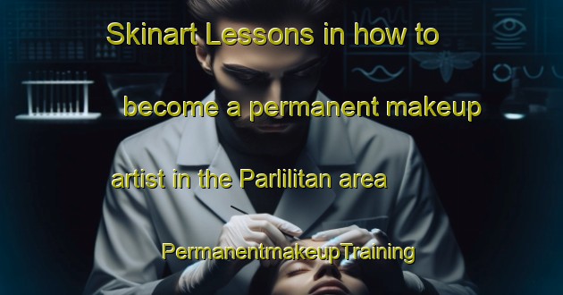 Skinart Lessons in how to become a permanent makeup artist in the Parlilitan area | PermanentmakeupTraining | PermanentmakeupClasses | SkinartTraining-Indonesia