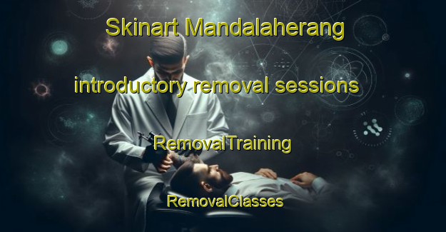 Skinart Mandalaherang introductory removal sessions | RemovalTraining | RemovalClasses | SkinartTraining-Indonesia