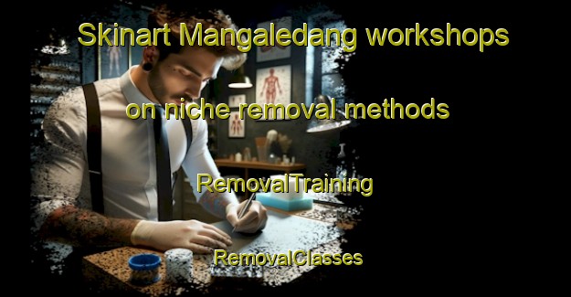 Skinart Mangaledang workshops on niche removal methods | RemovalTraining | RemovalClasses | SkinartTraining-Indonesia