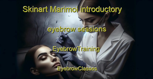 Skinart Marimoi introductory eyebrow sessions | EyebrowTraining | EyebrowClasses | SkinartTraining-Indonesia