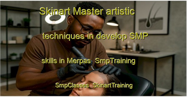 Skinart Master artistic techniques in develop SMP skills in Merpas | SmpTraining | SmpClasses | SkinartTraining-Indonesia