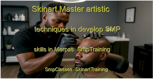 Skinart Master artistic techniques in develop SMP skills in Merpas | SmpTraining | SmpClasses | SkinartTraining-Indonesia
