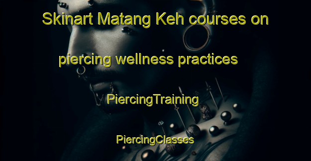 Skinart Matang Keh courses on piercing wellness practices | #PiercingTraining #PiercingClasses #SkinartTraining-Indonesia