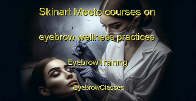 Skinart Meeto courses on eyebrow wellness practices | EyebrowTraining | EyebrowClasses | SkinartTraining-Indonesia