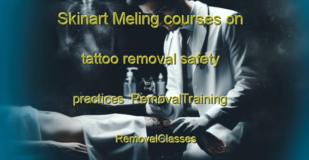 Skinart Meling courses on tattoo removal safety practices | RemovalTraining | RemovalClasses | SkinartTraining-Indonesia