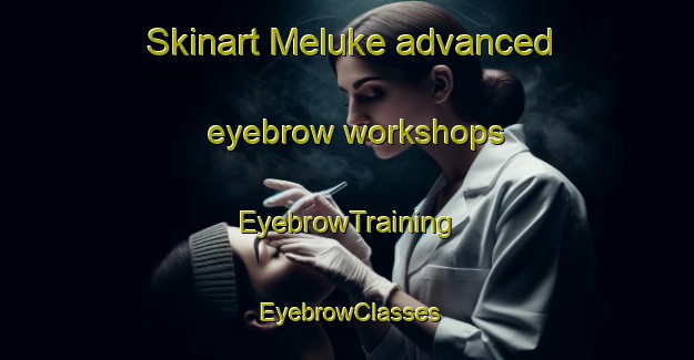 Skinart Meluke advanced eyebrow workshops | EyebrowTraining | EyebrowClasses | SkinartTraining-Indonesia
