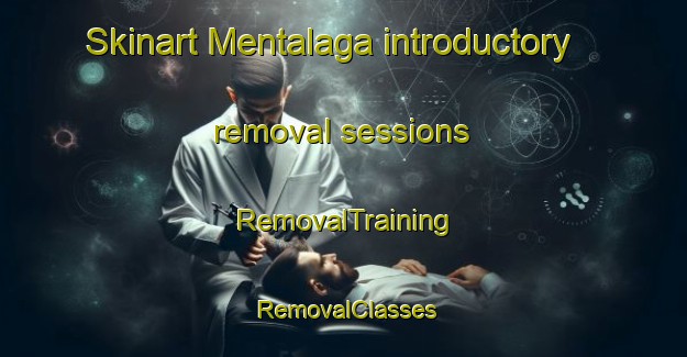 Skinart Mentalaga introductory removal sessions | RemovalTraining | RemovalClasses | SkinartTraining-Indonesia