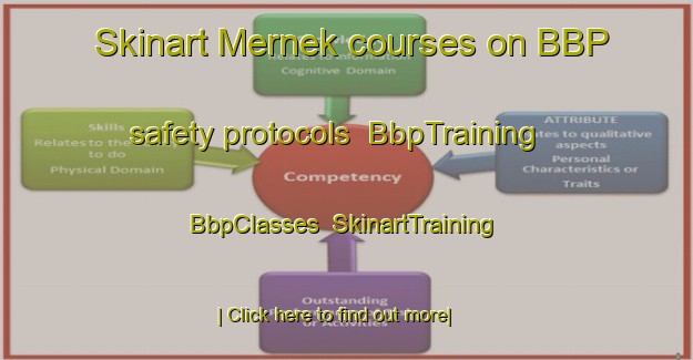 Skinart Mernek courses on BBP safety protocols | BbpTraining | BbpClasses | SkinartTraining-Indonesia