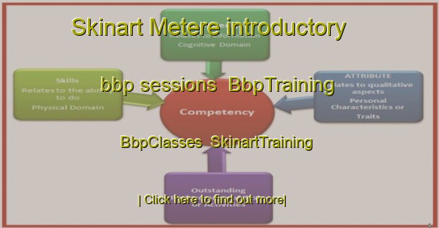 Skinart Metere introductory bbp sessions | BbpTraining | BbpClasses | SkinartTraining-Indonesia