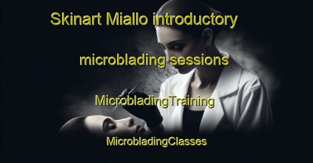 Skinart Miallo introductory microblading sessions | #MicrobladingTraining #MicrobladingClasses #SkinartTraining-Indonesia