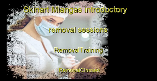 Skinart Miangas introductory removal sessions | RemovalTraining | RemovalClasses | SkinartTraining-Indonesia