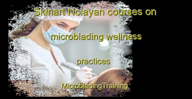 Skinart Nolayan courses on microblading wellness practices | #MicrobladingTraining #MicrobladingClasses #SkinartTraining-Indonesia