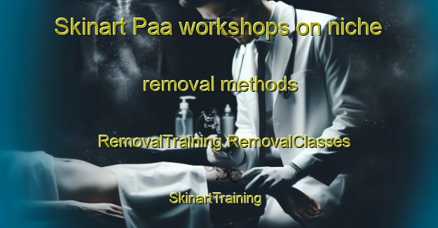 Skinart Paa workshops on niche removal methods | #RemovalTraining #RemovalClasses #SkinartTraining-Indonesia