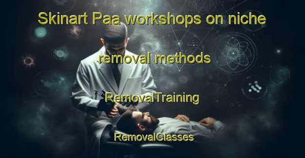 Skinart Paa workshops on niche removal methods | RemovalTraining | RemovalClasses | SkinartTraining-Indonesia