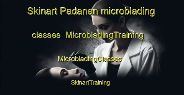 Skinart Padanan microblading classes | MicrobladingTraining | MicrobladingClasses | SkinartTraining-Indonesia