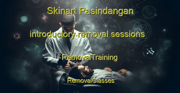 Skinart Pasindangan introductory removal sessions | RemovalTraining | RemovalClasses | SkinartTraining-Indonesia