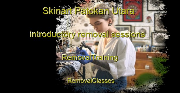 Skinart Patokan Utara introductory removal sessions | RemovalTraining | RemovalClasses | SkinartTraining-Indonesia