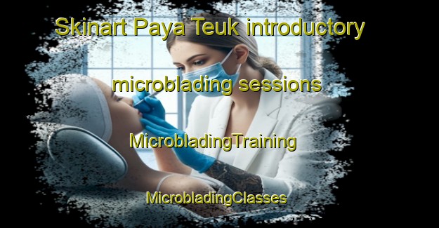 Skinart Paya Teuk introductory microblading sessions | MicrobladingTraining | MicrobladingClasses | SkinartTraining-Indonesia