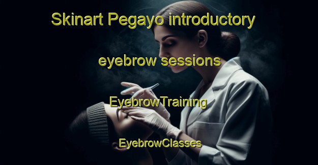 Skinart Pegayo introductory eyebrow sessions | EyebrowTraining | EyebrowClasses | SkinartTraining-Indonesia