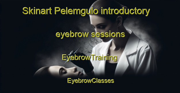 Skinart Pelemgulo introductory eyebrow sessions | EyebrowTraining | EyebrowClasses | SkinartTraining-Indonesia