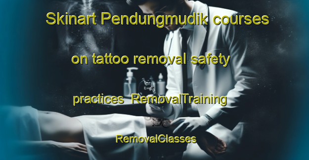 Skinart Pendungmudik courses on tattoo removal safety practices | RemovalTraining | RemovalClasses | SkinartTraining-Indonesia