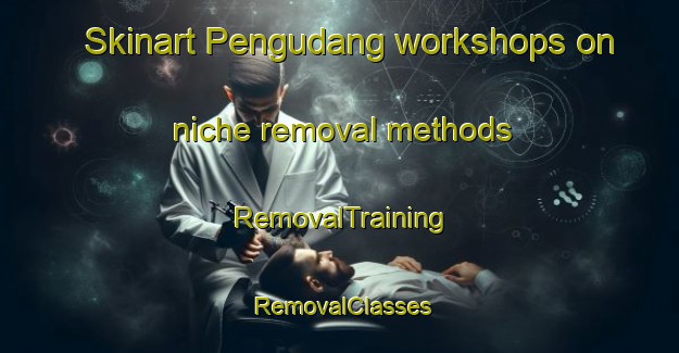 Skinart Pengudang workshops on niche removal methods | RemovalTraining | RemovalClasses | SkinartTraining-Indonesia