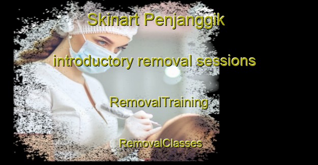 Skinart Penjanggik introductory removal sessions | RemovalTraining | RemovalClasses | SkinartTraining-Indonesia
