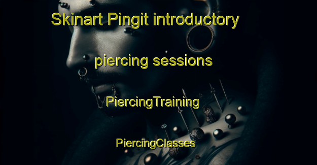 Skinart Pingit introductory piercing sessions | PiercingTraining | PiercingClasses | SkinartTraining-Indonesia