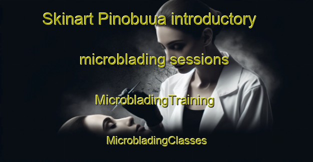 Skinart Pinobuua introductory microblading sessions | #MicrobladingTraining #MicrobladingClasses #SkinartTraining-Indonesia