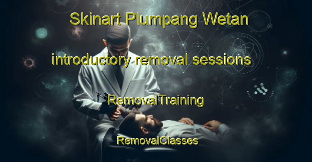 Skinart Plumpang Wetan introductory removal sessions | RemovalTraining | RemovalClasses | SkinartTraining-Indonesia