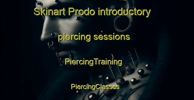 Skinart Prodo introductory piercing sessions | PiercingTraining | PiercingClasses | SkinartTraining-Indonesia