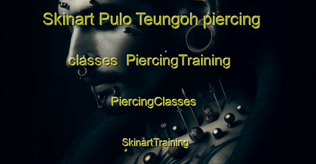 Skinart Pulo Teungoh piercing classes | PiercingTraining | PiercingClasses | SkinartTraining-Indonesia