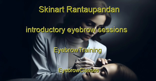 Skinart Rantaupandan introductory eyebrow sessions | EyebrowTraining | EyebrowClasses | SkinartTraining-Indonesia