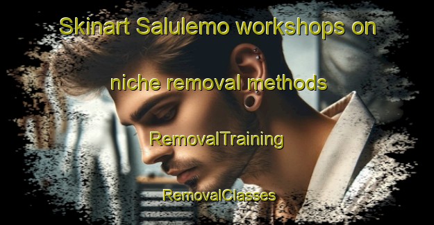 Skinart Salulemo workshops on niche removal methods | RemovalTraining | RemovalClasses | SkinartTraining-Indonesia