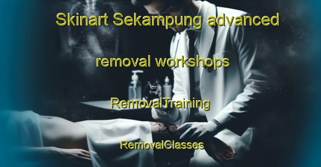 Skinart Sekampung advanced removal workshops | RemovalTraining | RemovalClasses | SkinartTraining-Indonesia