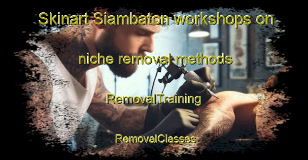 Skinart Siambaton workshops on niche removal methods | RemovalTraining | RemovalClasses | SkinartTraining-Indonesia