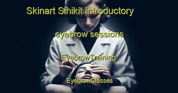 Skinart Sihikit introductory eyebrow sessions | EyebrowTraining | EyebrowClasses | SkinartTraining-Indonesia