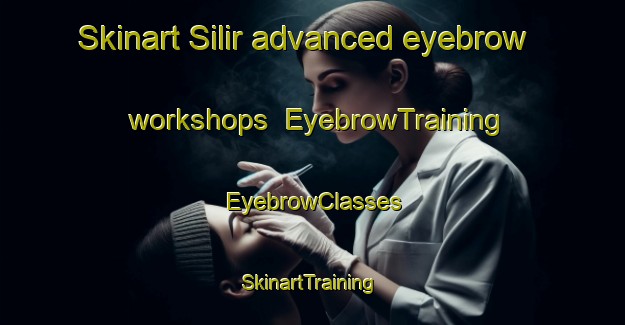 Skinart Silir advanced eyebrow workshops | EyebrowTraining | EyebrowClasses | SkinartTraining-Indonesia