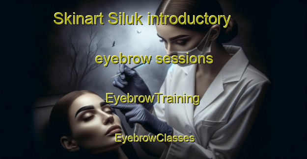 Skinart Siluk introductory eyebrow sessions | EyebrowTraining | EyebrowClasses | SkinartTraining-Indonesia