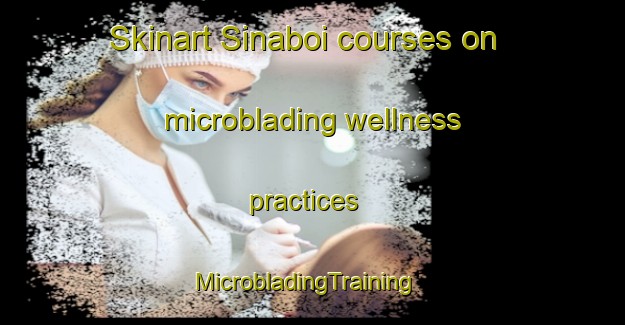 Skinart Sinaboi courses on microblading wellness practices | MicrobladingTraining | MicrobladingClasses | SkinartTraining-Indonesia
