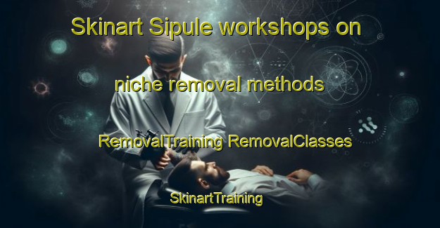 Skinart Sipule workshops on niche removal methods | #RemovalTraining #RemovalClasses #SkinartTraining-Indonesia