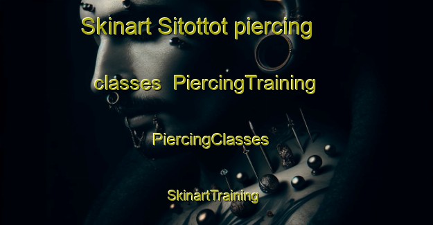 Skinart Sitottot piercing classes | PiercingTraining | PiercingClasses | SkinartTraining-Indonesia