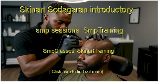 Skinart Sodagaran introductory smp sessions | SmpTraining | SmpClasses | SkinartTraining-Indonesia