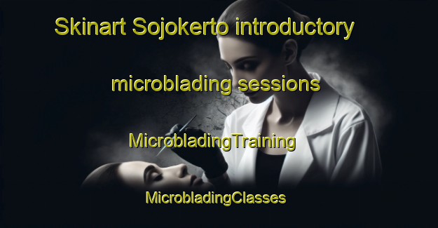 Skinart Sojokerto introductory microblading sessions | MicrobladingTraining | MicrobladingClasses | SkinartTraining-Indonesia
