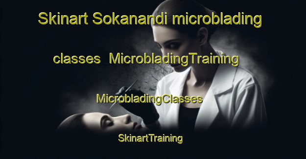 Skinart Sokanandi microblading classes | MicrobladingTraining | MicrobladingClasses | SkinartTraining-Indonesia