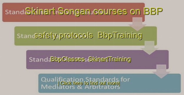 Skinart Songan courses on BBP safety protocols | BbpTraining | BbpClasses | SkinartTraining-Indonesia